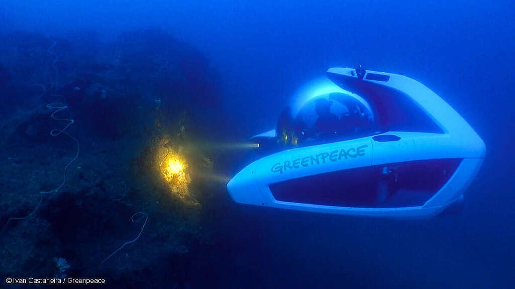 Fotografía submarina del sumergible de Greenpeace documentando los arrecifes de coral en Veracruz, México.