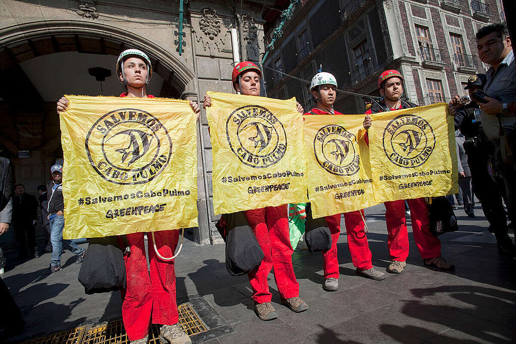 Protest for the Protection of Cabo Pulmo National Park in Mexico. © Gustavo Graf / Greenpeace Protest for the Protection of Cabo Pulmo National Park in Mexico. © Gustavo Graf / Greenpeace