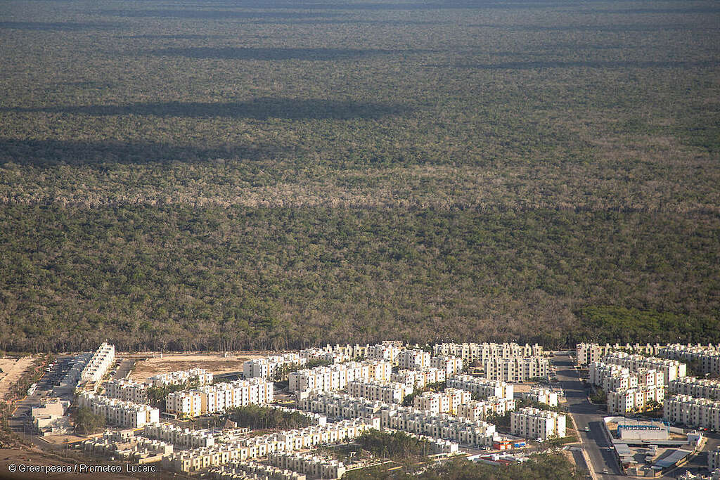 Vista aérea de desarrollo inmobiliario Aldea Tulum, Tulum, Quintana Roo. Vista aérea de desarrollo inmobiliario Aldea Tulum, Tulum, Quintana Roo.