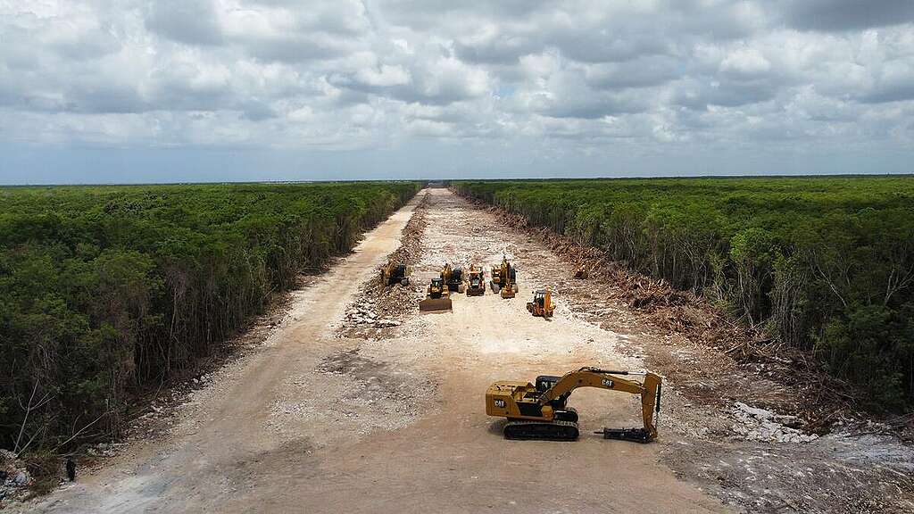 Deforestación del Tren Maya.
