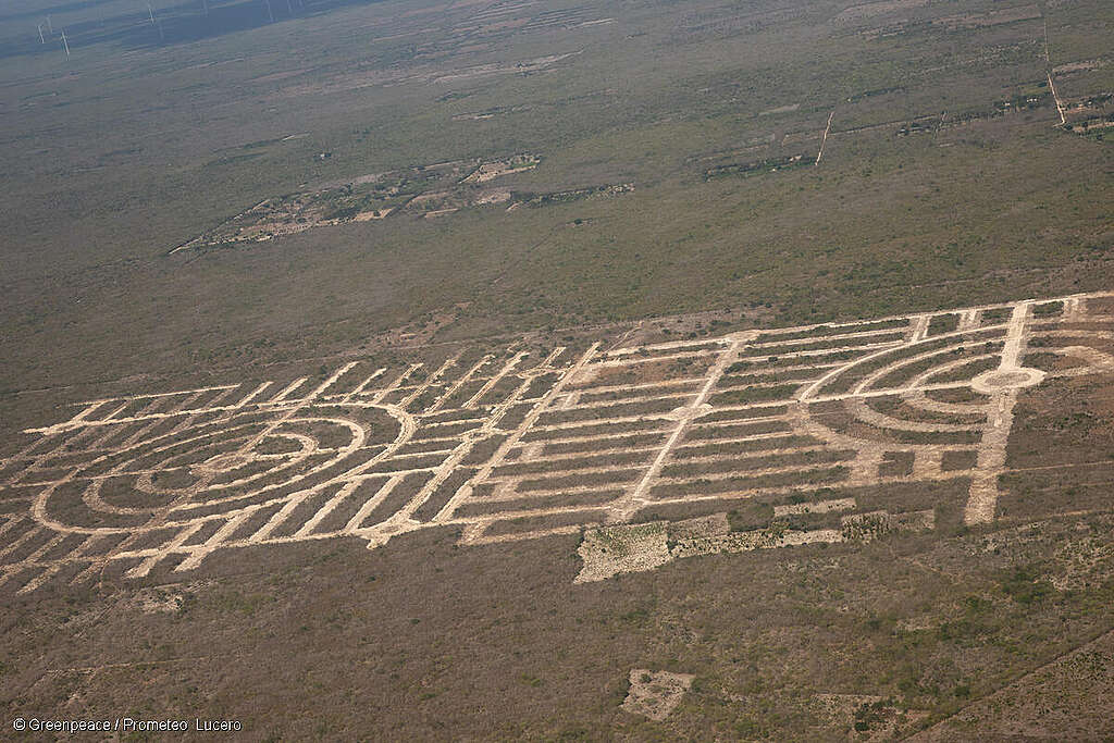 Vista aérea de desarrollos inmobiliarios en Yucatán. Vista aérea de desarrollos inmobiliarios en Yucatán.