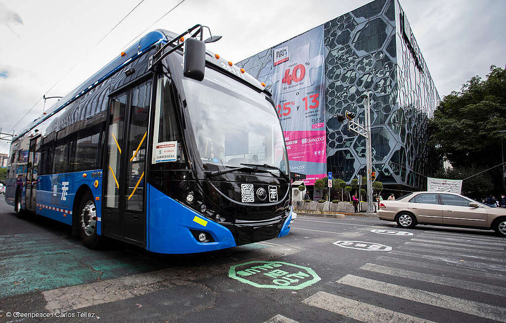 Fotografía de un transporte en Avenida Insurgentes luego de una acción de etiquetado para ciclovías permanentes.