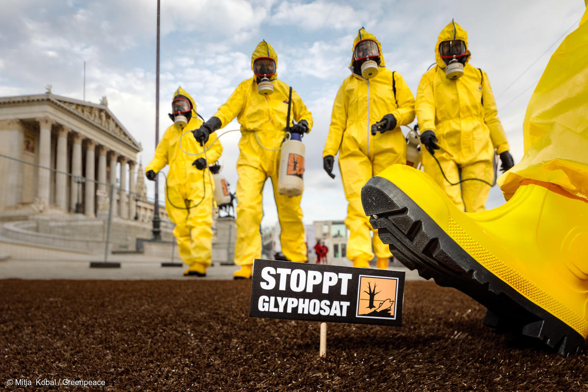 Activistas de Greenpeace protestan frente al Parlamento austriaco usando trajes de protección y exigiendo la prohibición nacional del glifosato, un herbicida cancerígeno. Las pancartas dicen "Alto al glifosato" en inglés y alemán.