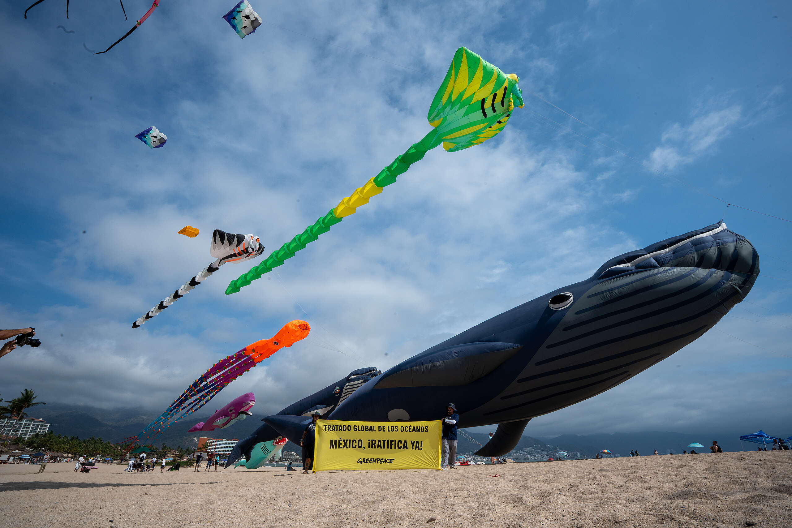 Tras jornada de limpieza, Greenpeace insiste en Ley Antiplásticos que impida a empresas seguir contaminando 