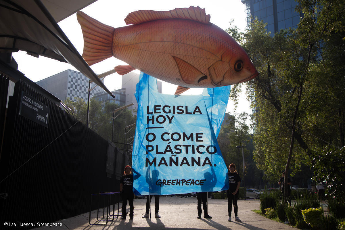 Fotografía de inflable de pez cargando una bolsa de plástico gigante que dice "Legisla hoy, o como plástico mañana"