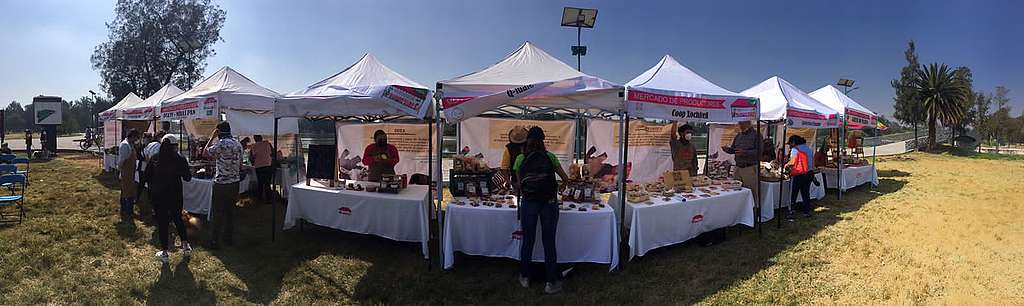 Fotografía panorámica de los stands del Mercado de Productores Capital Verde en Bosque de Aragón.