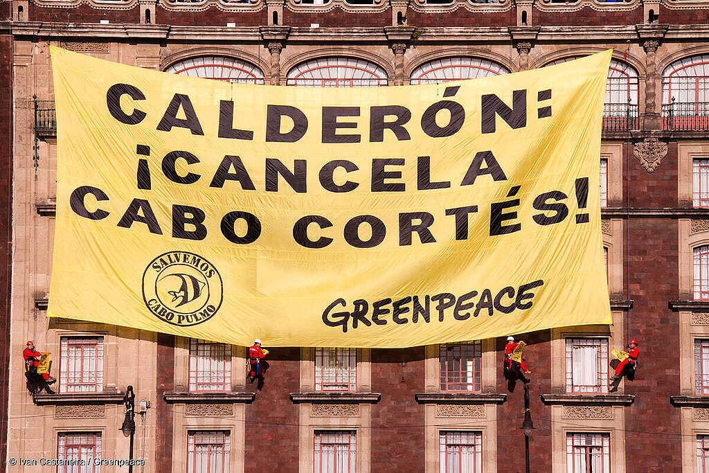 Activistas de Greenpeace México escalando el Palacio Nacional mientras cuelgan una manta en la que se lee "Calderón: ¡Cancela Cabo Cortés!" en protesta al proyecto turístico que amenazaba la reserva marina en Cabo Pulmo. Activistas de Greenpeace México escalando el Palacio Nacional mientras cuelgan una manta en la que se lee "Calderón: ¡Cancela Cabo Cortés!" en protesta al proyecto turístico que amenazaba la reserva marina en Cabo Pulmo.