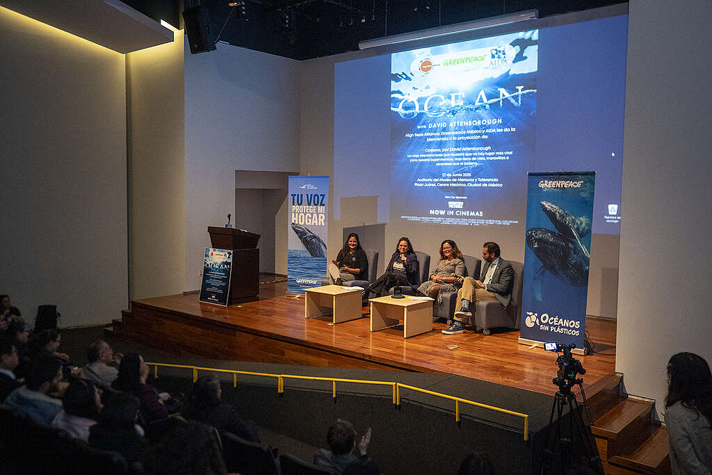 Proyección del documental "Océano", de David Attemborough por parte de Greenpeace y organizaciones aliadas. Foto/Sergio Silva