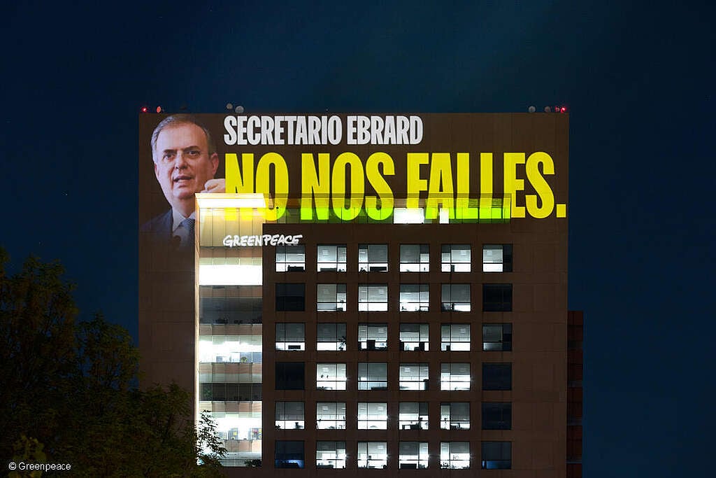 Proyección en edificios de la CDMX dirigido a Marcelo Ebrad para pedir un Tratado Global de Océanos en que se lee "Secretario Ebrad, no nos falles".