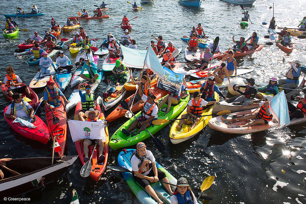 Fotografía de activistas en lanchas y kayaks con banderas y mensajes “Pueblo por la biodiversidad” Fotografía de activistas en lanchas y kayaks con banderas y mensajes “Pueblo por la biodiversidad”