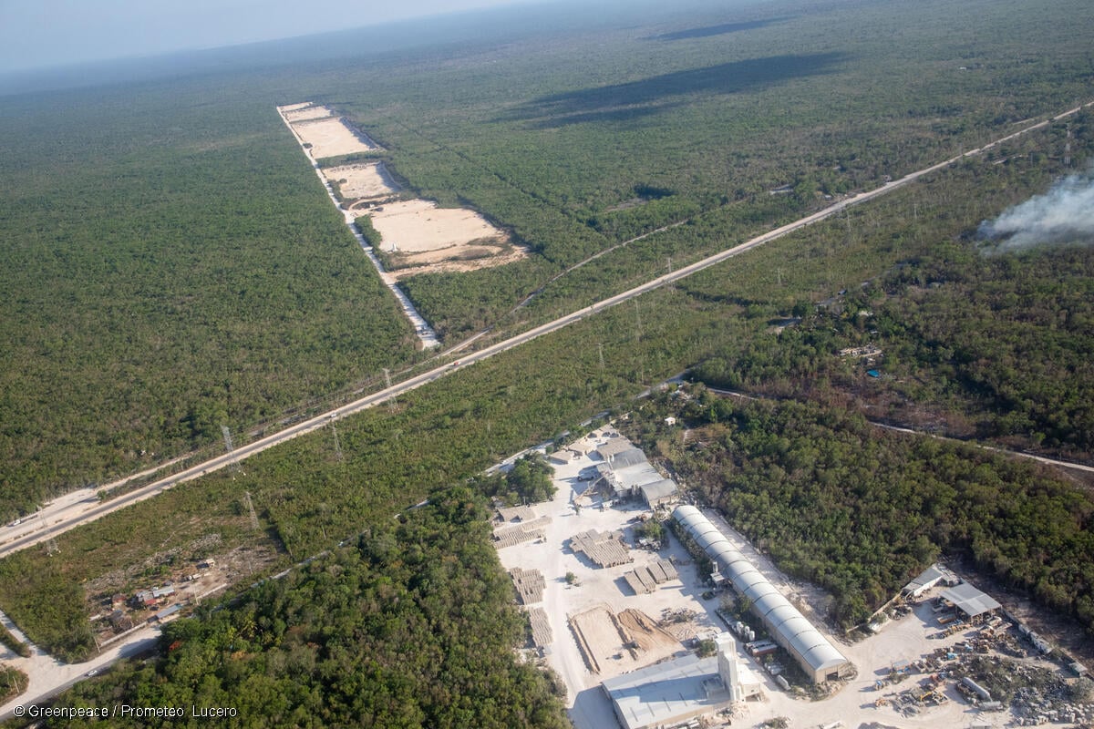 Vista aérea de una mina de sascab cerca del Tren Maya y un incendio forestal en Quintana Roo.