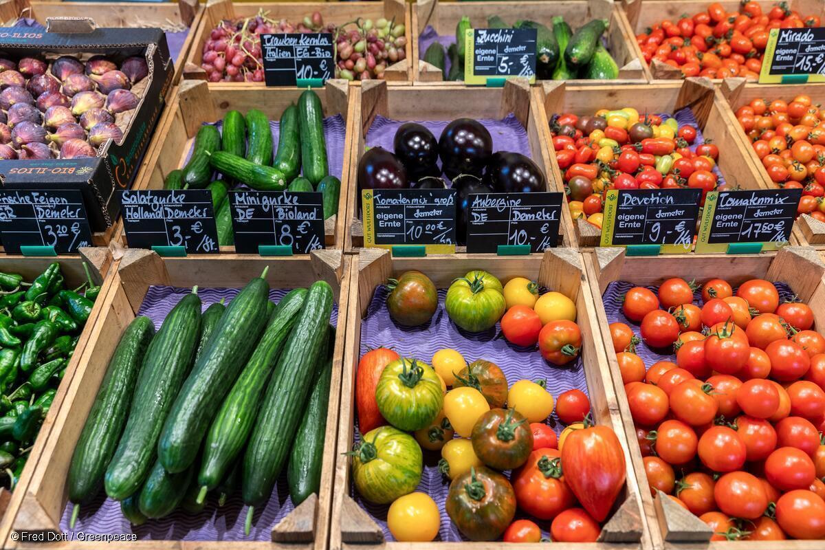Diversos tipos de verduras orgánicas en un puesto de una granja local.