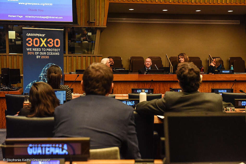 Sesión en la ONU con activistas y diplomáticos, junto a cartel de Greenpeace sobre protección de los océanos, en él se lee "30x30, necesitamos proteger el 30% de nuestros océanos para 2030".