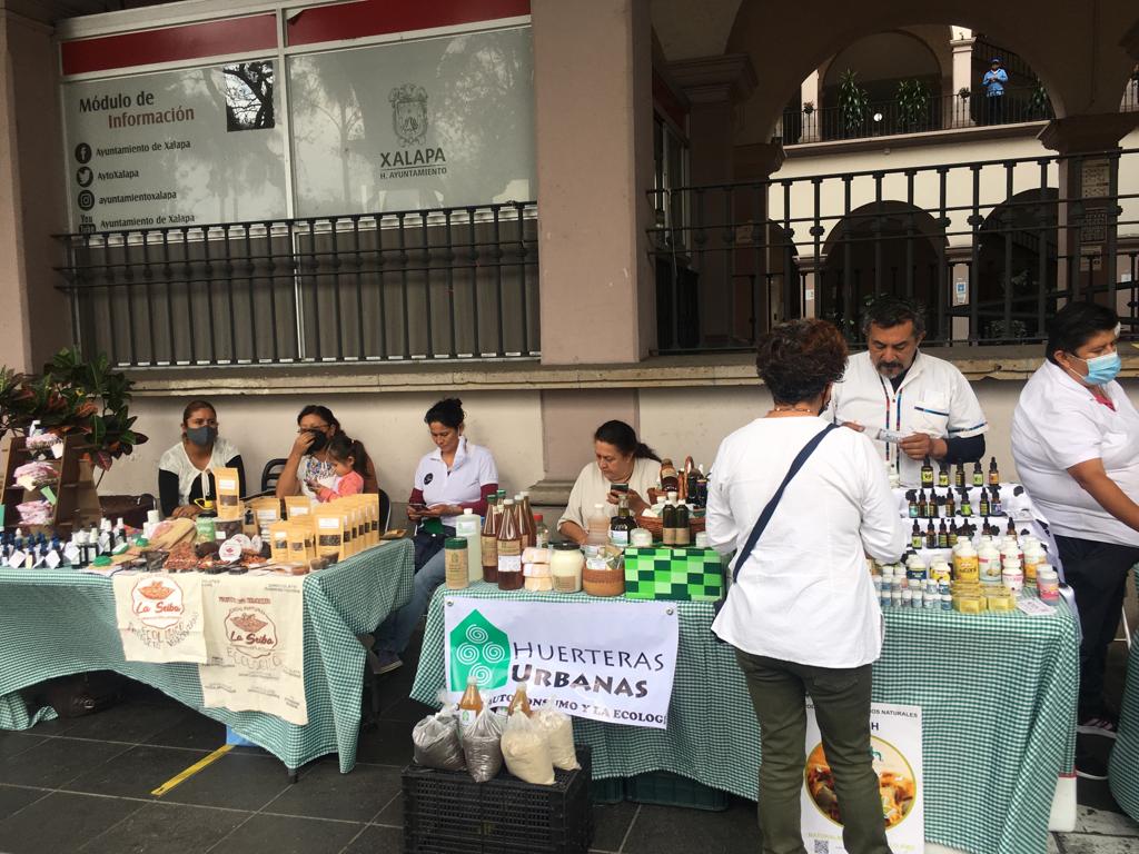 Fotografía de los stands y productos disponibles en el mercado ecológico VerdeVer en Veracruz, México.