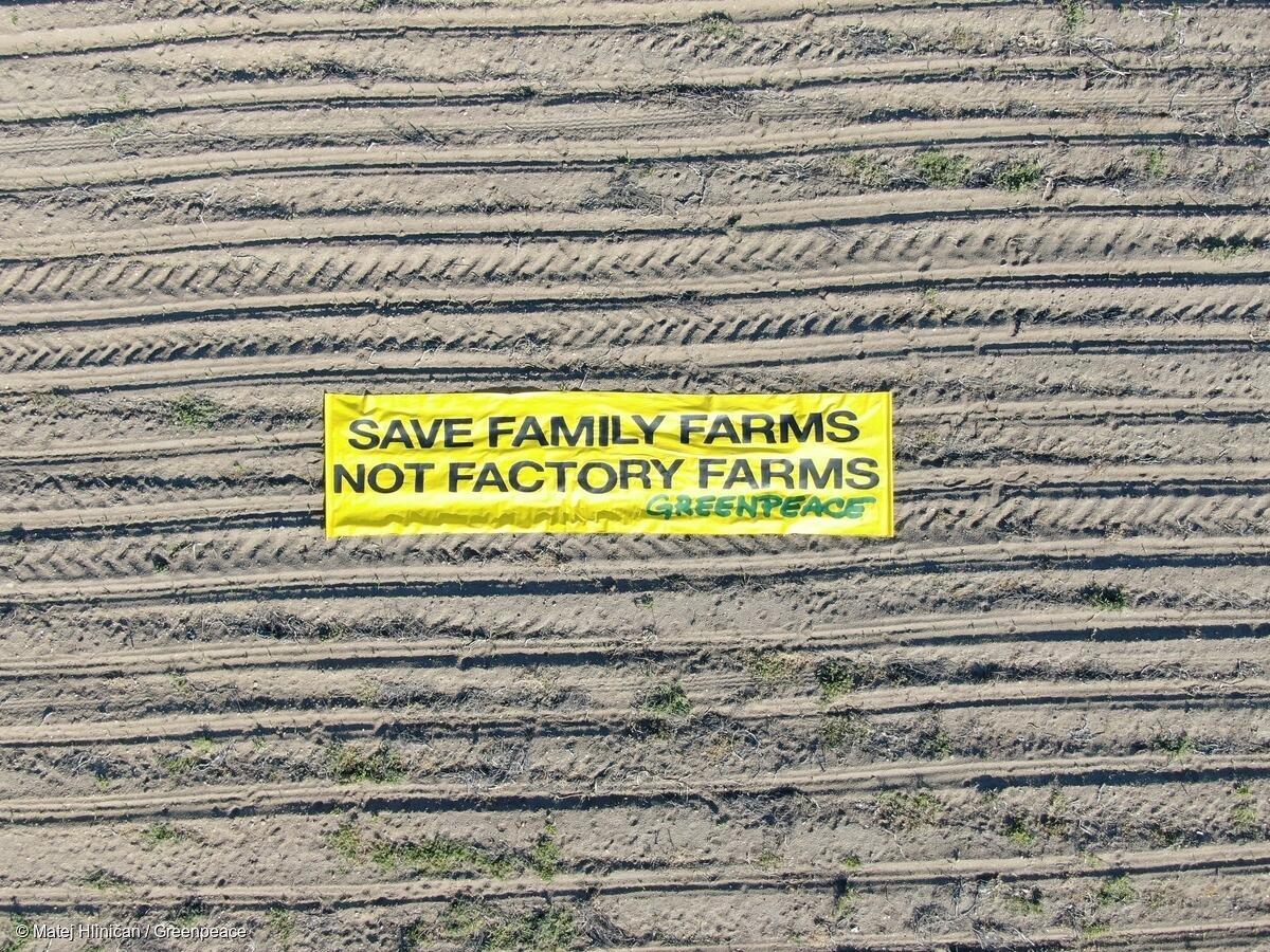 Manta en la que se lee "salven las granjas familiares, no las granjas industriales” sobre un campo agrícola. Manta en la que se lee "salven las granjas familiares, no las granjas industriales” sobre un campo agrícola.