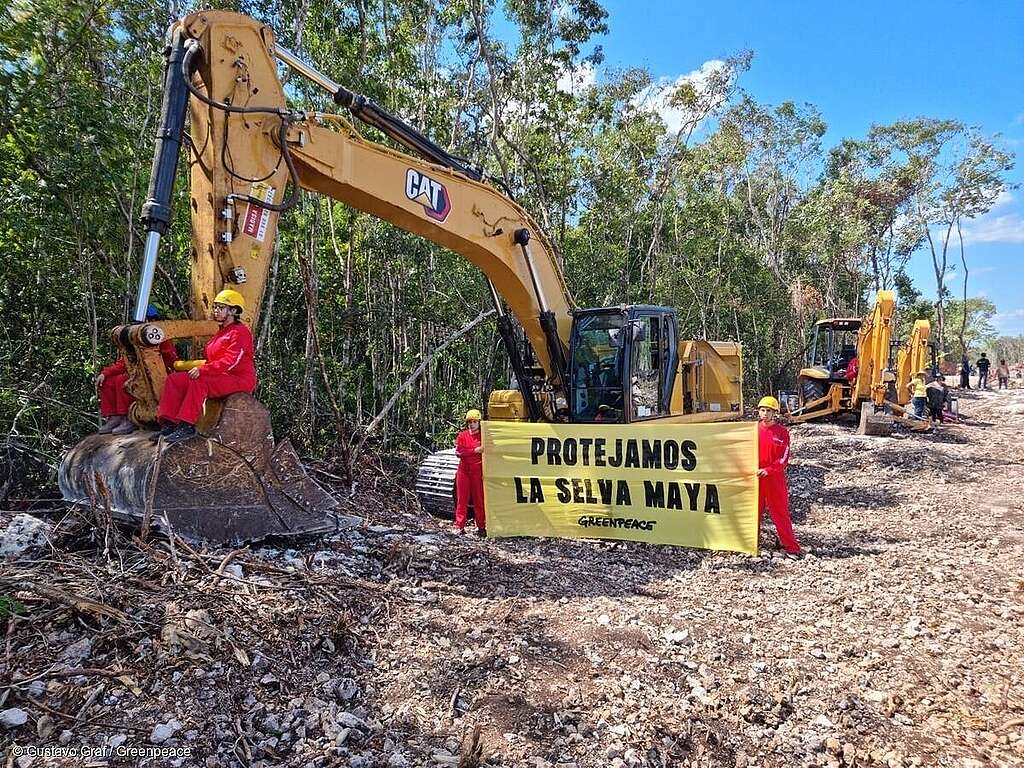 Activistas de Greenpeace México y representantes de otros grupos y organizaciones, anclados a maquinaria y sosteniendo una manta que dice "Protejamos la Selva Maya". Activistas de Greenpeace México y representantes de otros grupos y organizaciones, anclados a maquinaria y sosteniendo una manta que dice "Protejamos la Selva Maya".