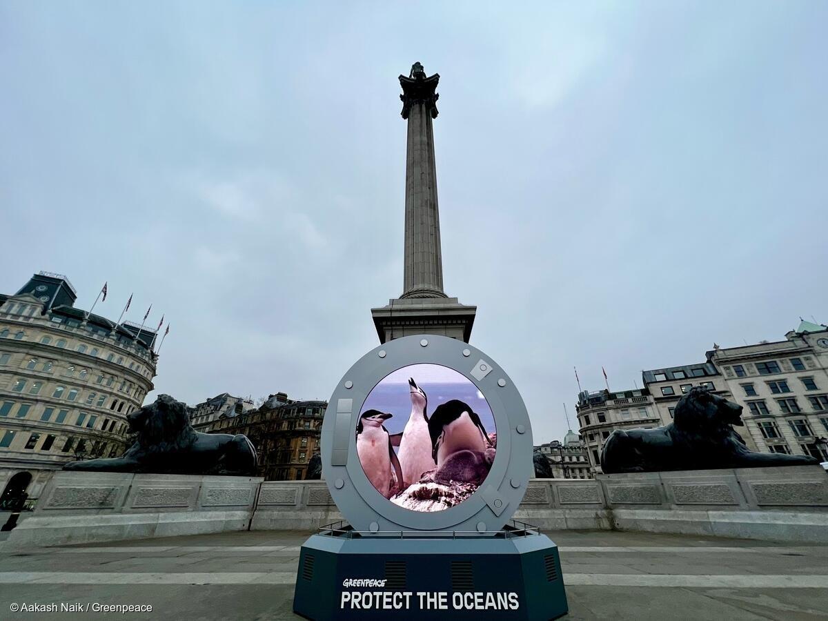 Un portal muestra imágenes durante una transmisión desde la Antártida a la Plaza Trafalgar de Londres.