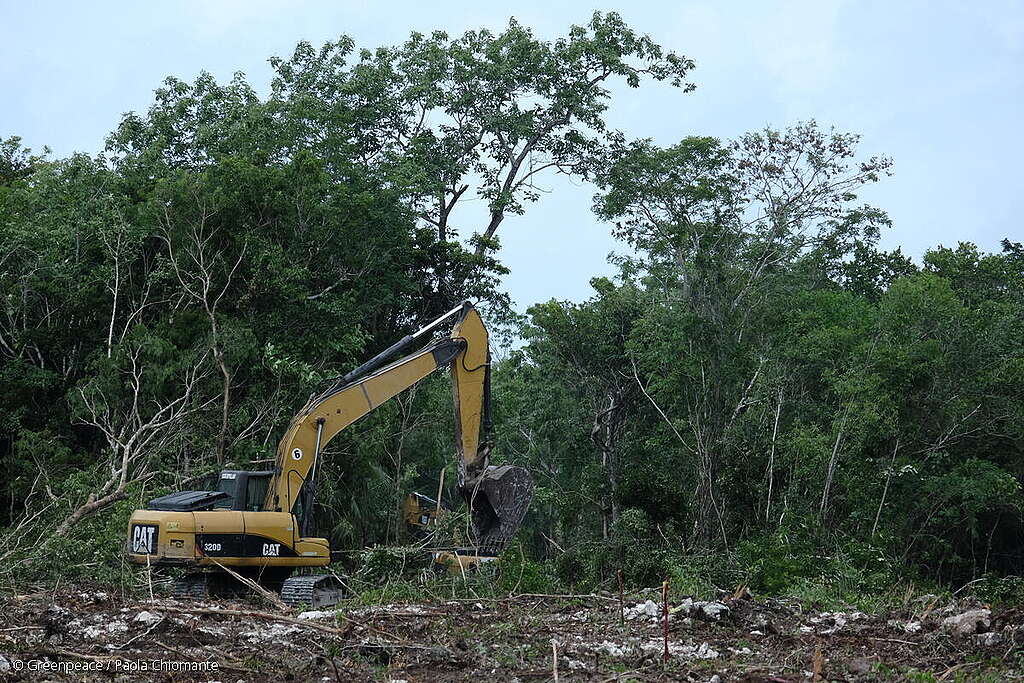 Fotografía de la obra y destrucción con maquinaria del Tren Maya.