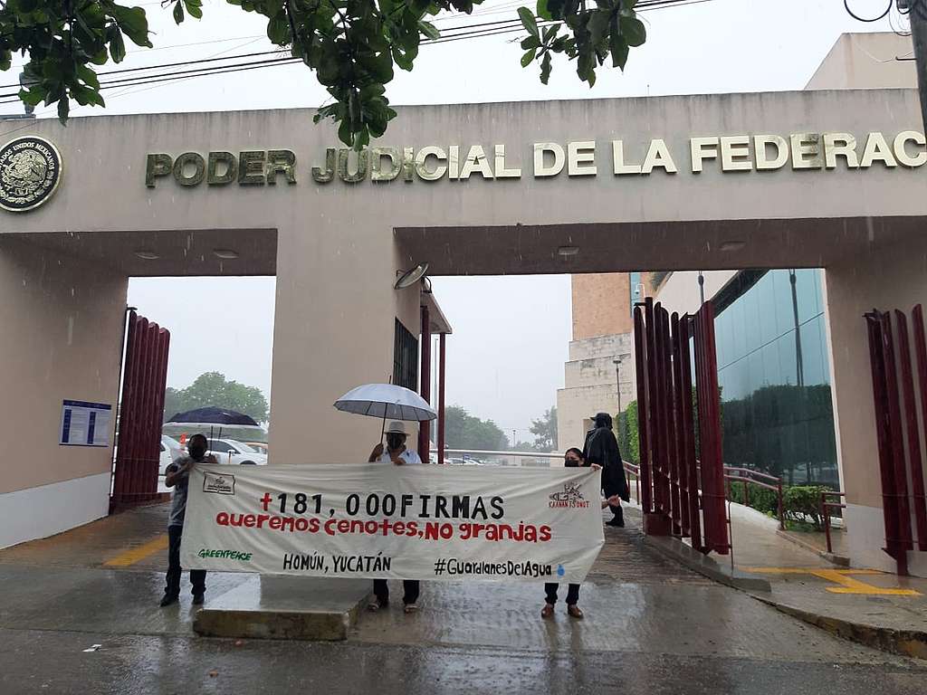 Activistas afuera del Poder Judicial de la Federación en entrega de firmas en el Juzgado Segundo de Distrito, "Queremos cenotes, no granjas".