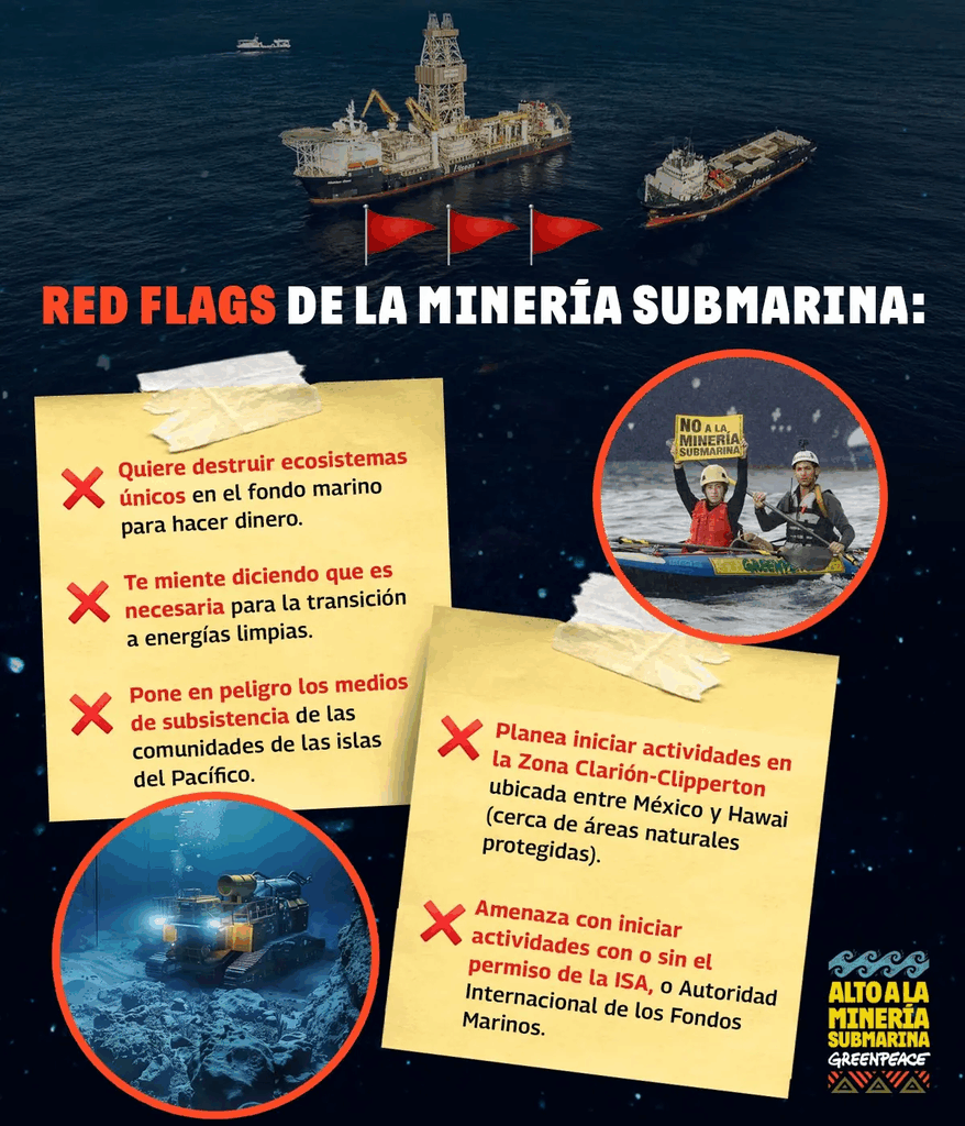 red flags mineria submarina