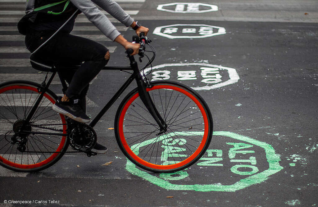 Fotografía de una bicicleta andando en Avenida Insurgentes "Etiquetada" para ciclovías permanentes.