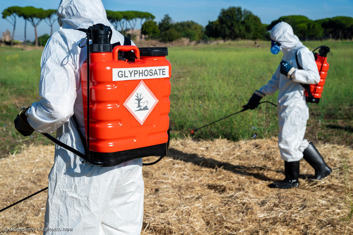 Activistas de Greenpeace Italia, vestidos con trajes de protección contra materiales peligrosos, protestan contra el uso de glifosato.