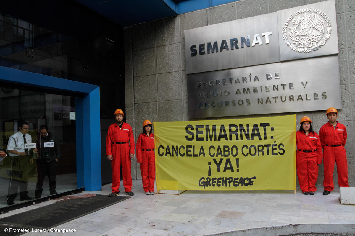 Frente a la Semarnat (Secretaría de Medio Ambiente y Recursos Naturales), activistas de Greenpeace desplegaron una manta con el mensaje: "¡Semarnat, Cancela Cabo Cortés Ya!".