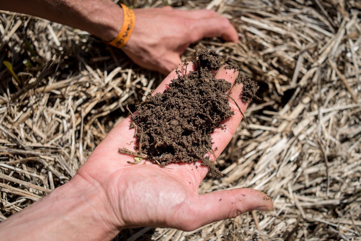 Ecological Soil Fertilization in France. © Emile Loreaux / Greenpeace Ecological Soil Fertilization in France. © Emile Loreaux / Greenpeace