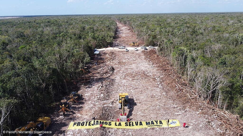 Toma aérea que evidencia la destrucción causa en la Selva Maya tras las obras de construcción del Tren Maya, en el centro se observa una manta que dice "Protejamos la Selva Maya".