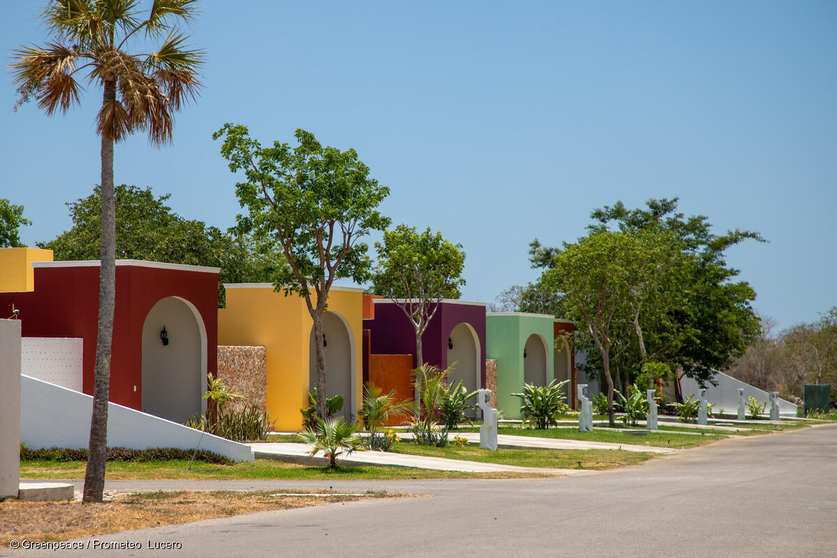 Los mejores terrenos en venta en la península de Yucatán: cómo elegir el ideal sin ser experto