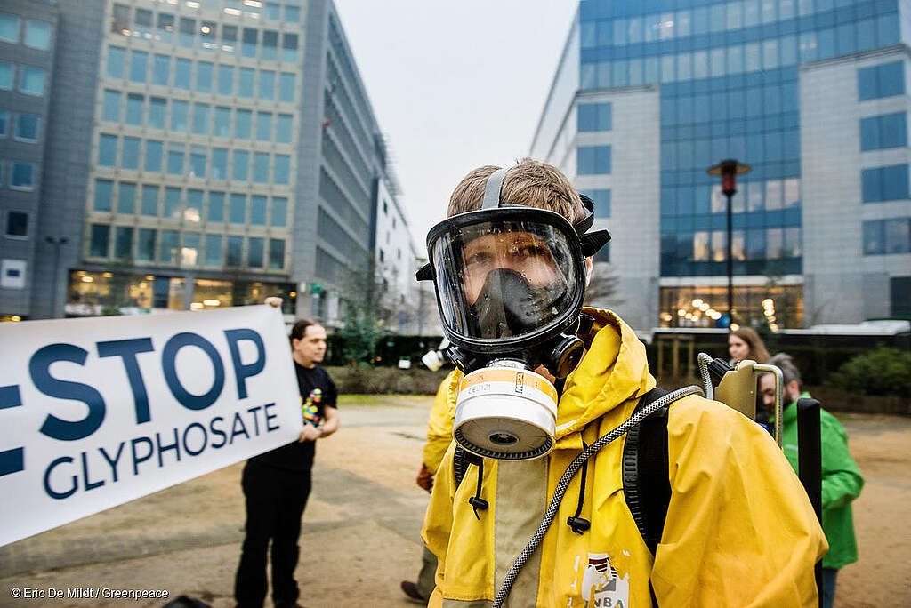 Activistas de Greenpeace, con ropa protectora y mascarillas, exhiben una pancarta frente a la Comisión Europea con el lema "Stop Glifosato". Activistas de Greenpeace, con ropa protectora y mascarillas, exhiben una pancarta frente a la Comisión Europea con el lema "Stop Glifosato".
