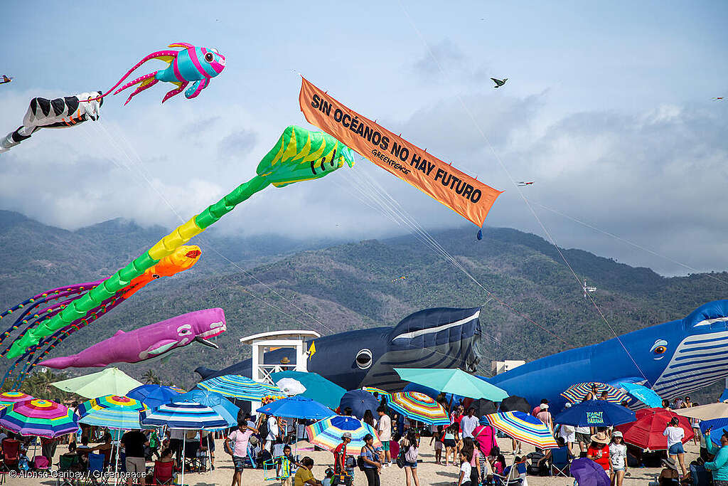 Fotografía panorámica de papalotes y cometas gigantes en el Festival Monumental de Cometas por los Océanos, Puerto Vallarta, México.