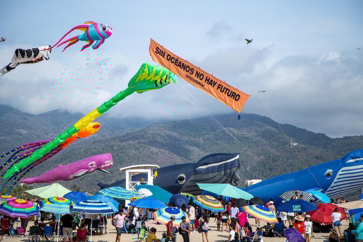 Tras jornada de limpieza, Greenpeace insiste en Ley Antiplásticos que impida a empresas seguir contaminando 