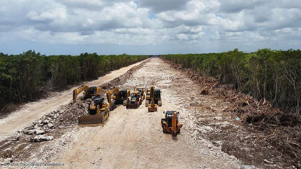 Deforestación en el Tramo 5 del Tren Maya, Felipe Carrillo Puerto, Quintana Roo, México. Pueden verse máquinas trabajando.