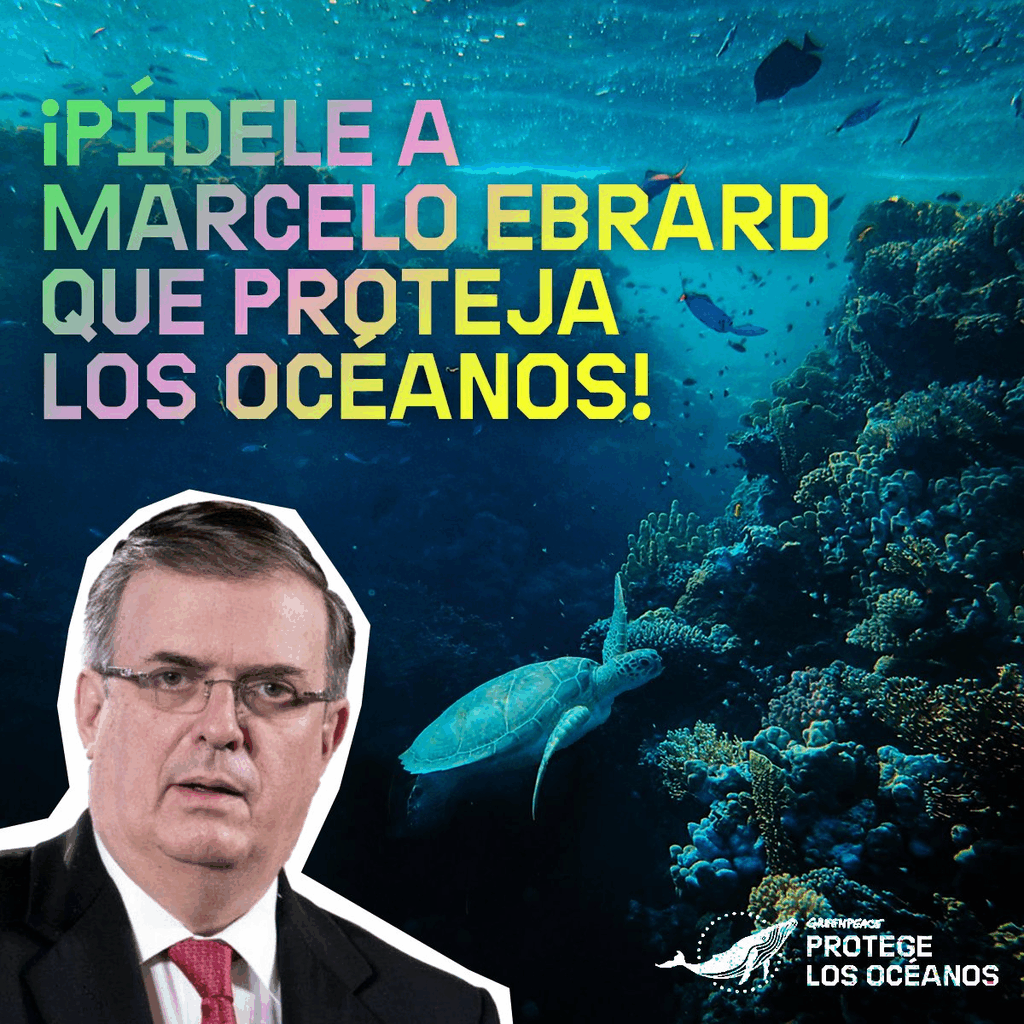 Imagen edit para pedirle a Marcelo Ebrad que proteja los océanos.