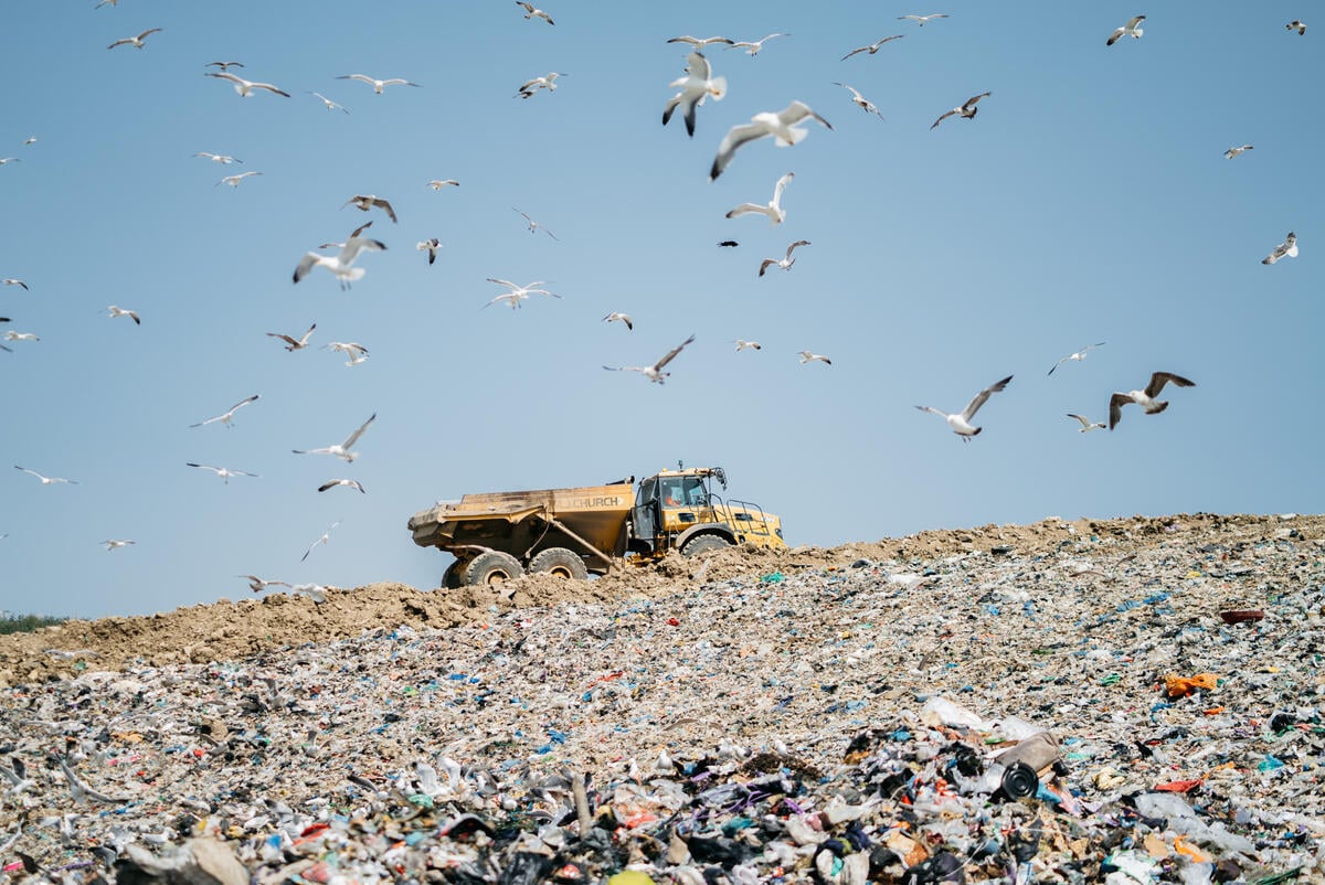Mitos del reciclaje: ¿cuál es la verdad detrás de esta práctica?