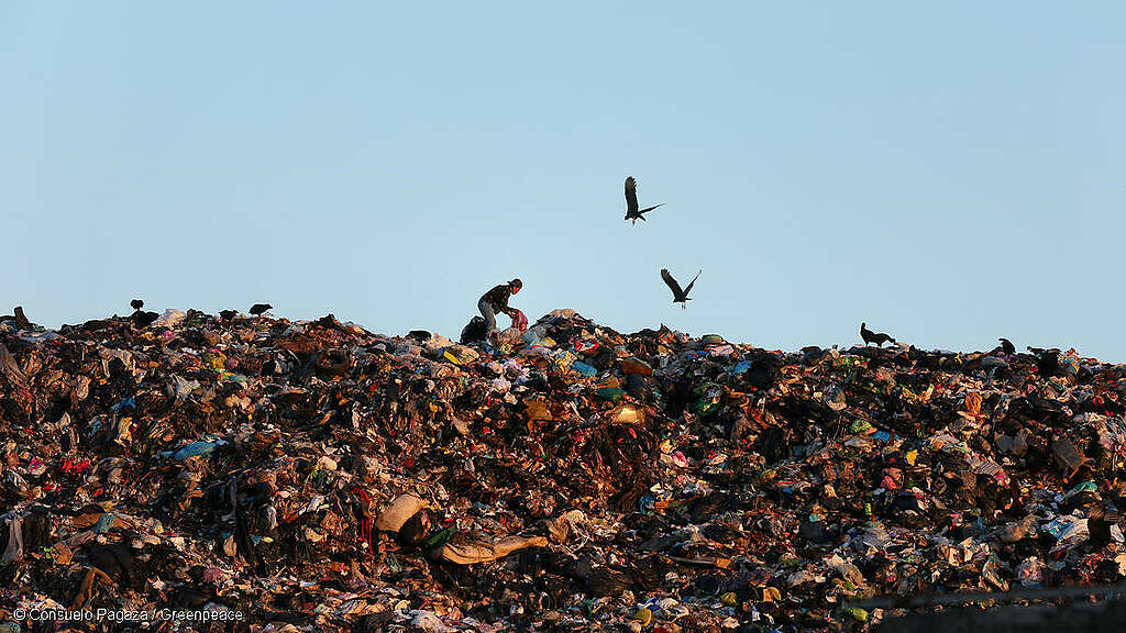 Fotografía de un vertedero de basura en Villa Allende creado en Coatzacoalcos, Veracruz, México.