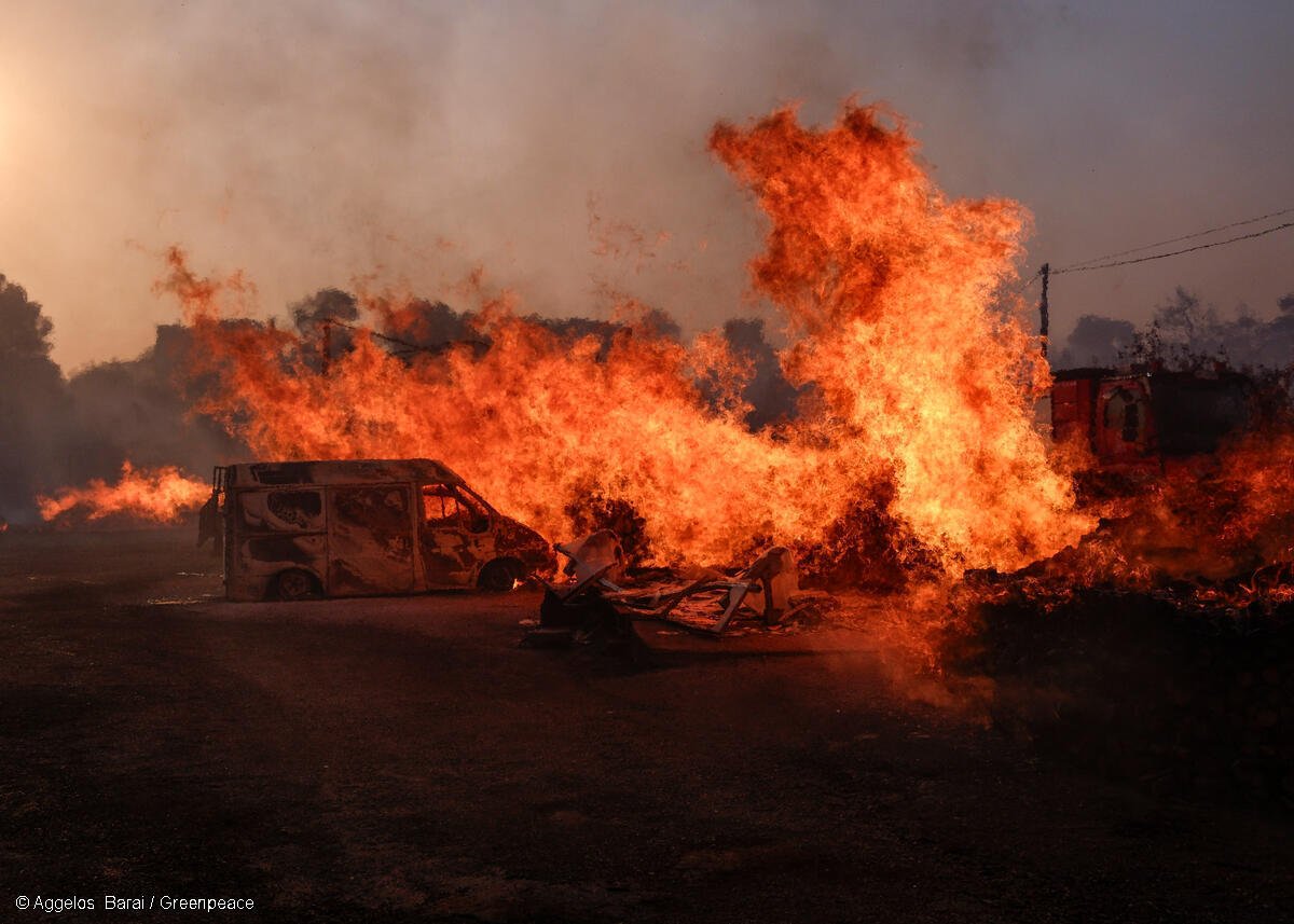 5 señales claras de la situación actual del cambio climático