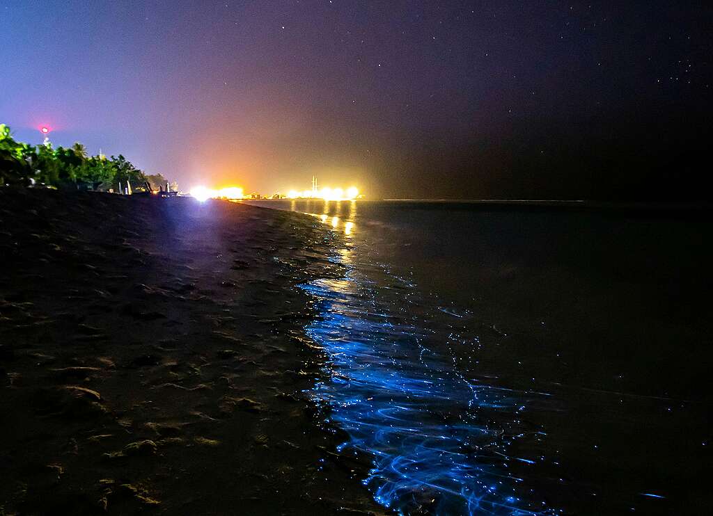 Toma nocturna de una playa iluminada por las luz provocada por la bioluminscencia.