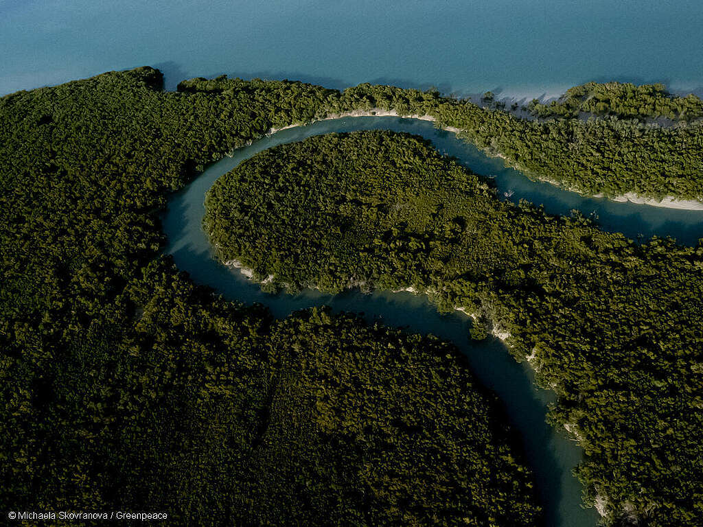 Toma aérea de un manglar en la bahía de Roebuck en Kimberley, país de Yawuru. Toma aérea de un manglar en la bahía de Roebuck en Kimberley, país de Yawuru.