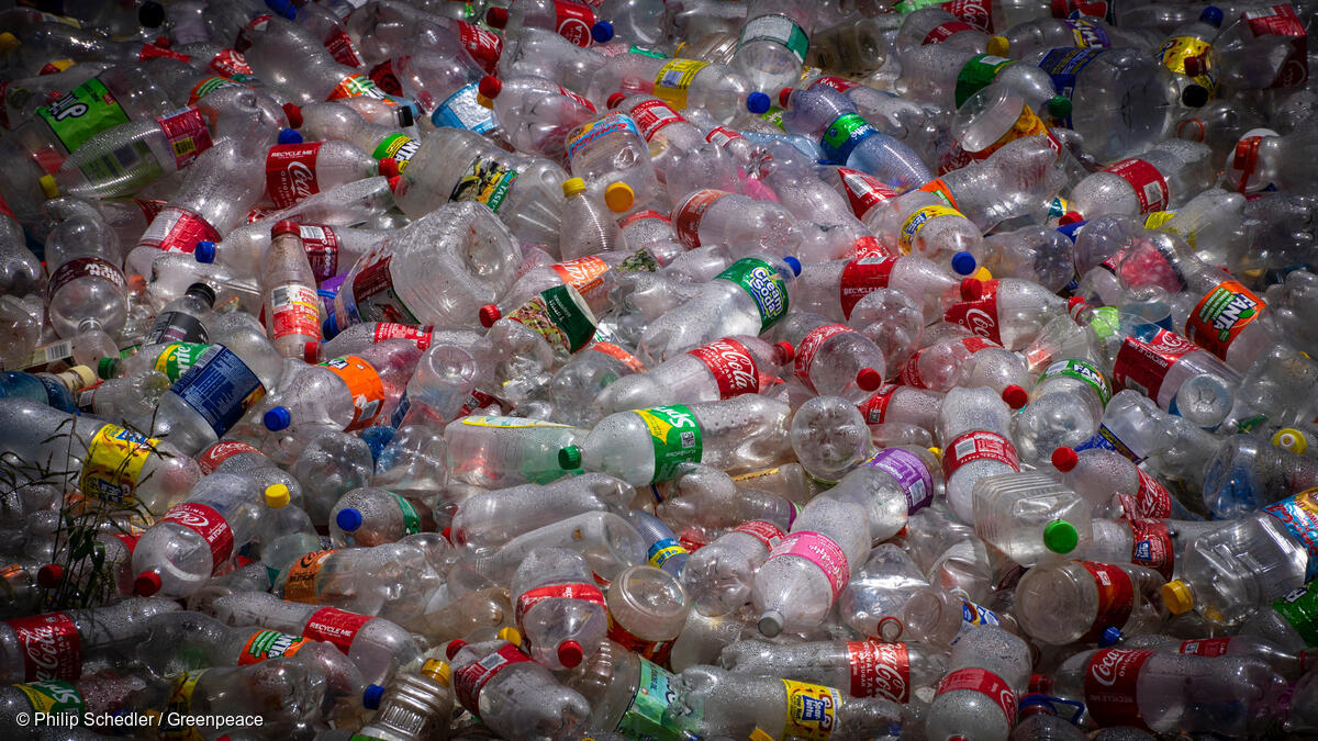 Fotografía de cientos de botellas plásticas vacías de diferentes marcas.