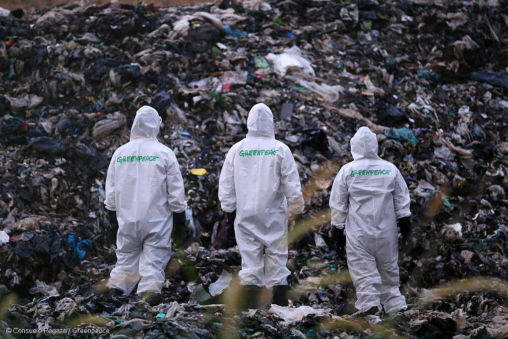 3 activistas de Greenpeace México usando trajes de protección caminan en un basurero. 3 activistas de Greenpeace México usando trajes de protección caminan en un basurero.