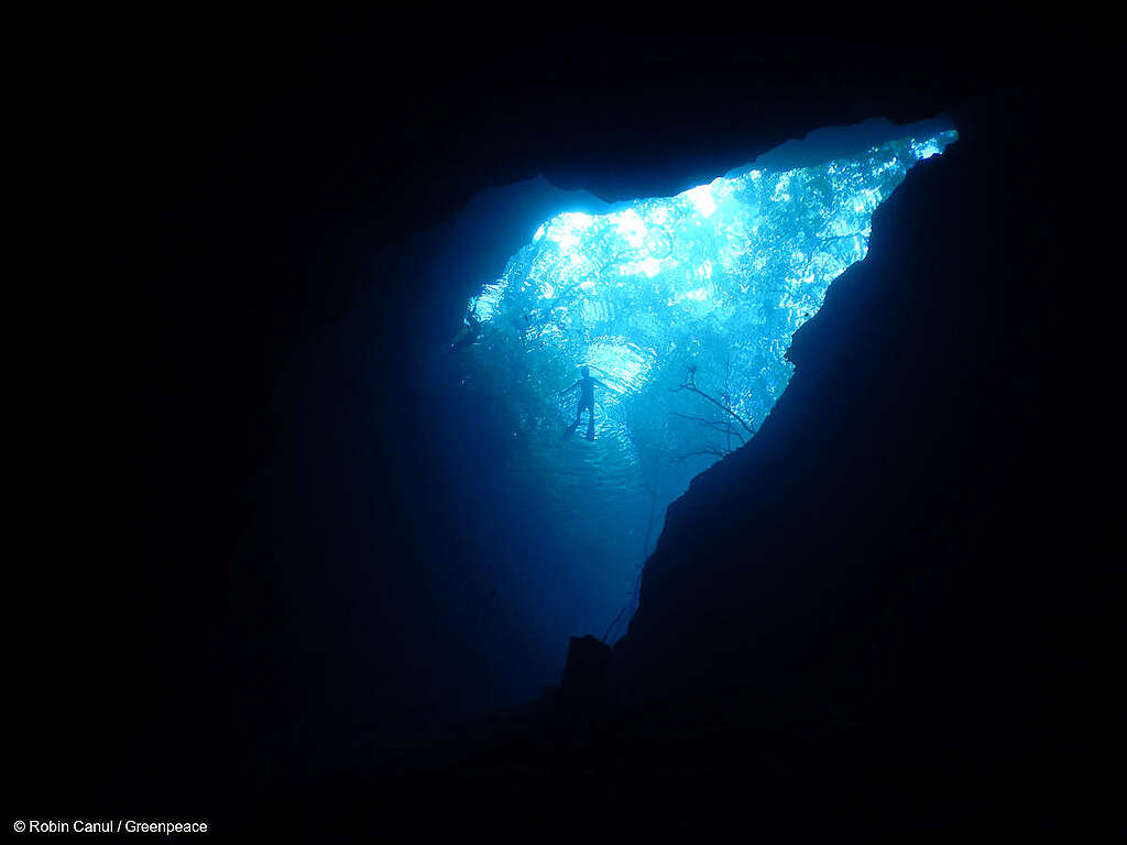 Fotografía de un buzo dentro de un cenote. Fotografía de un buzo dentro de un cenote.