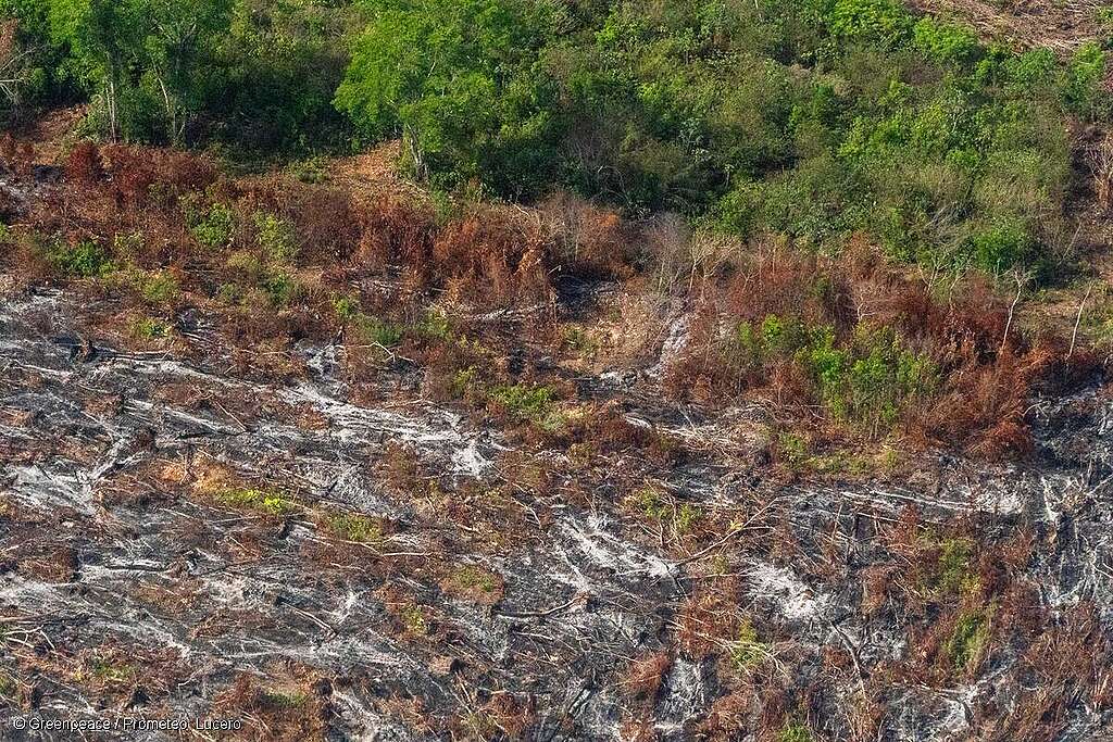 Vista aérea de un incendio forestal en Salamanca, Bacalar, Quintana Roo. Vista aérea de un incendio forestal en Salamanca, Bacalar, Quintana Roo.