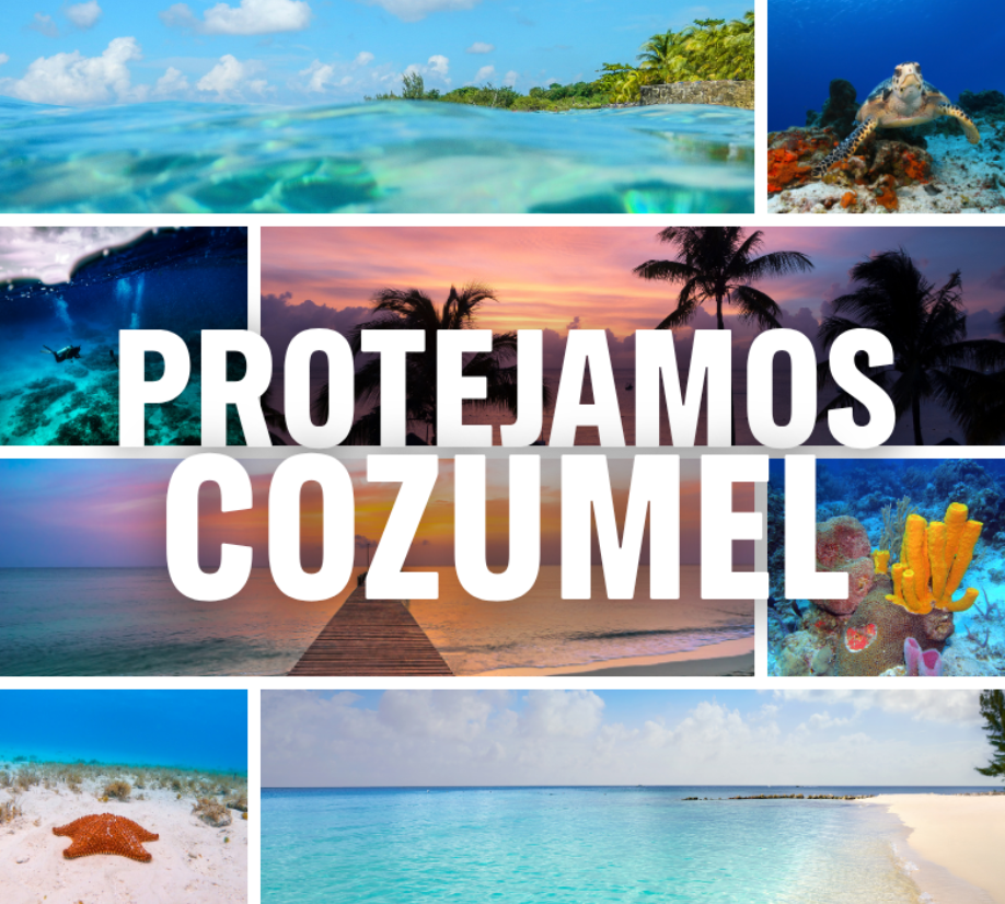 Collage de fotografía de Cozumel, se lee la leyenda "Protejamos Cozumel".