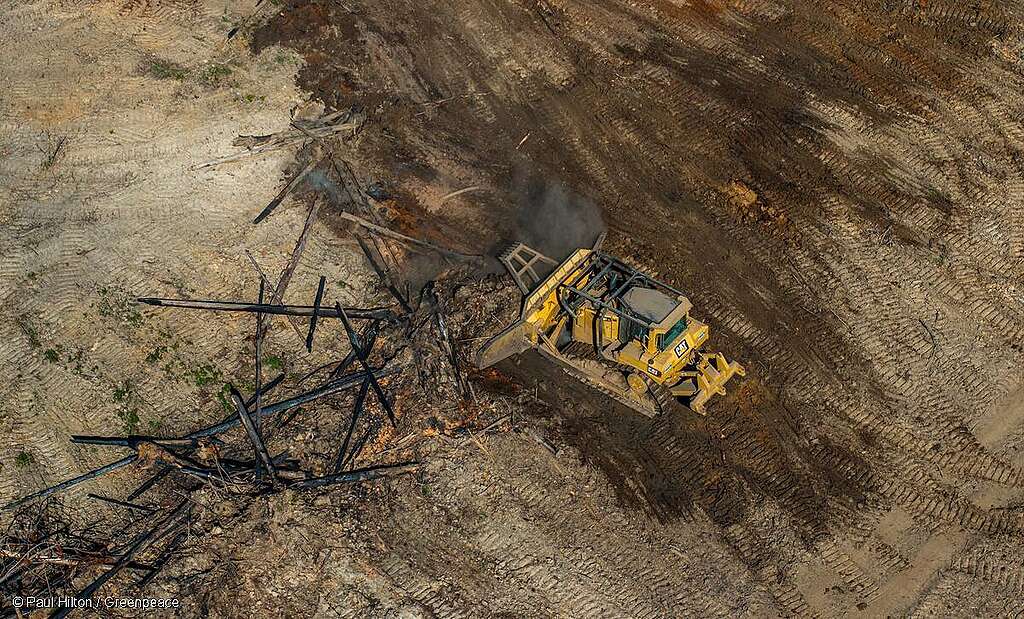 Toma aérea de maquinaria abriendo paso en un campo deforestado para la producción de carne de res. Toma aérea de maquinaria abriendo paso en un campo deforestado para la producción de carne de res.