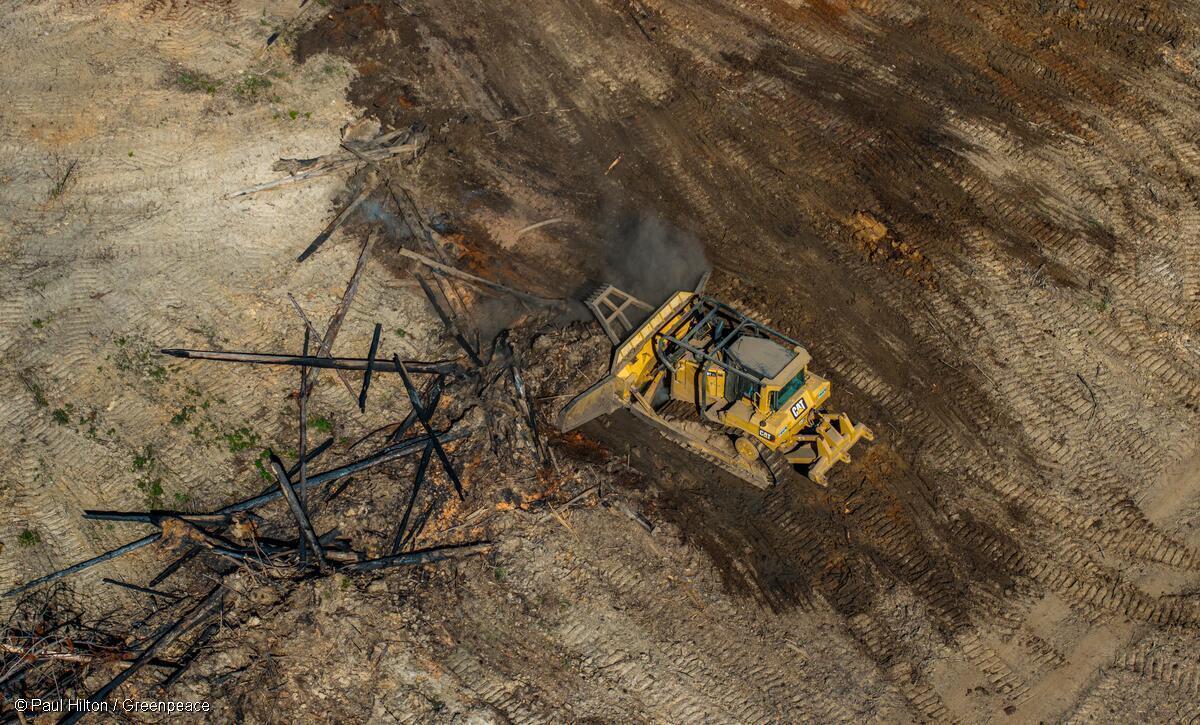 Toma aérea de maquinaria abriendo paso en un campo deforestado para la producción de carne de res.