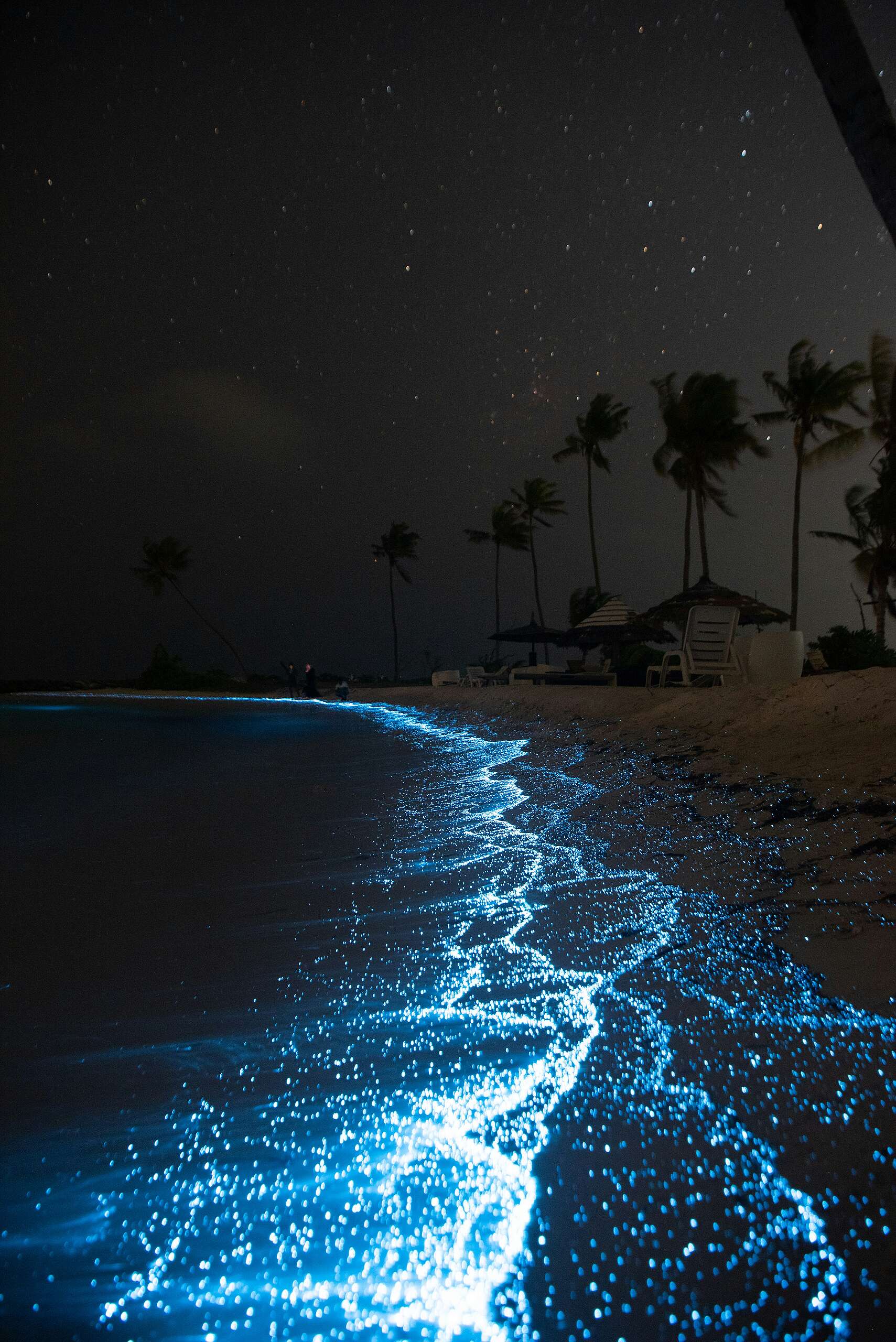 Cozumel: la isla que brilla de noche (y no es por las luces)