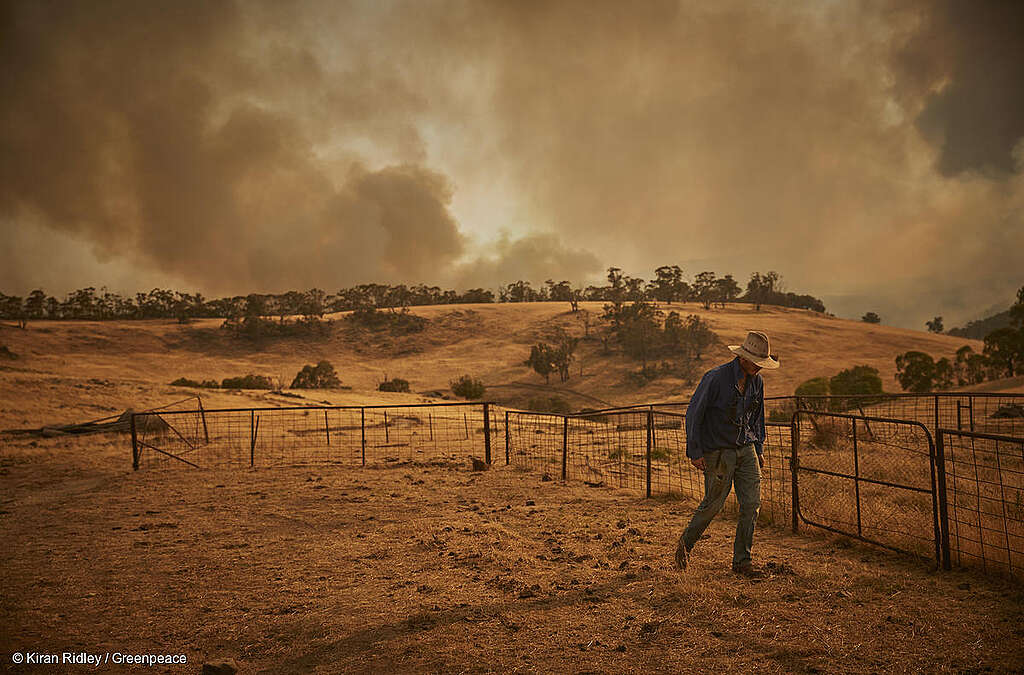Fotografía de un agricultor alejándose de un megaincendio forestal. Fotografía de un agricultor alejándose de un megaincendio forestal.