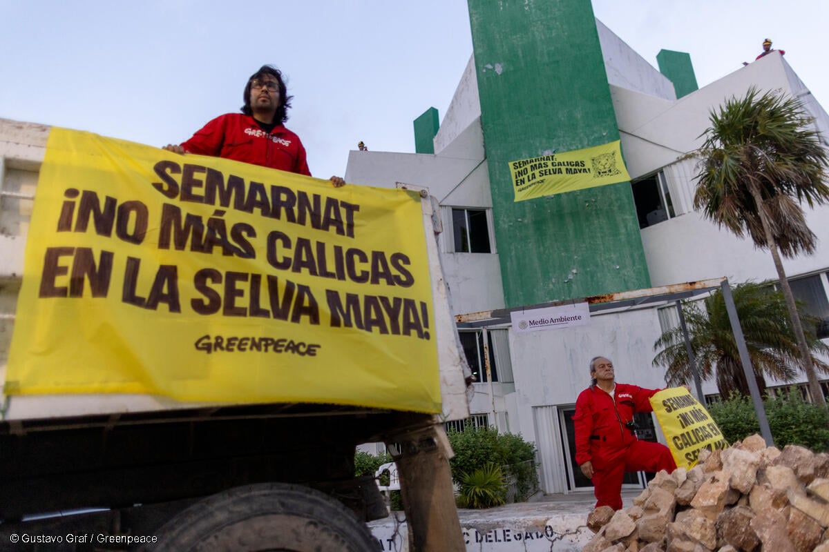 Greenpeace vuelca material pétreo frente a la SEMARNAT y exige:  ¡No más Calicas en la Selva Maya!
